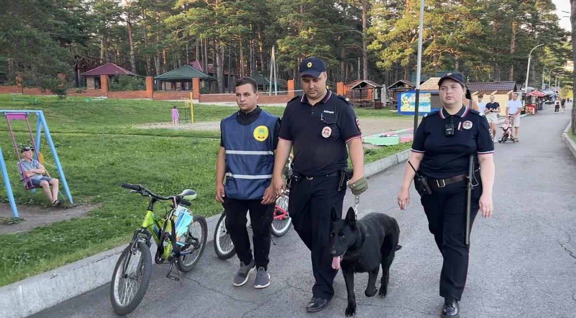 Добровольные народные дружины